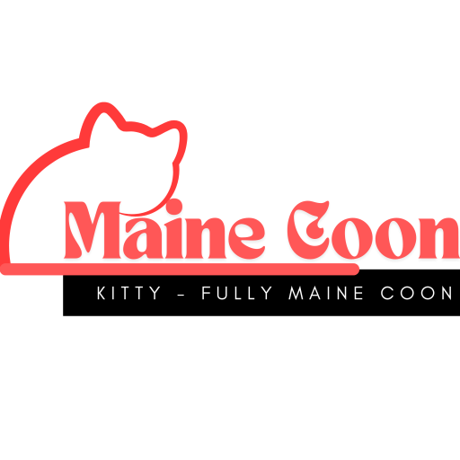 cropped-Maine-Coon-kitty-1-1.png