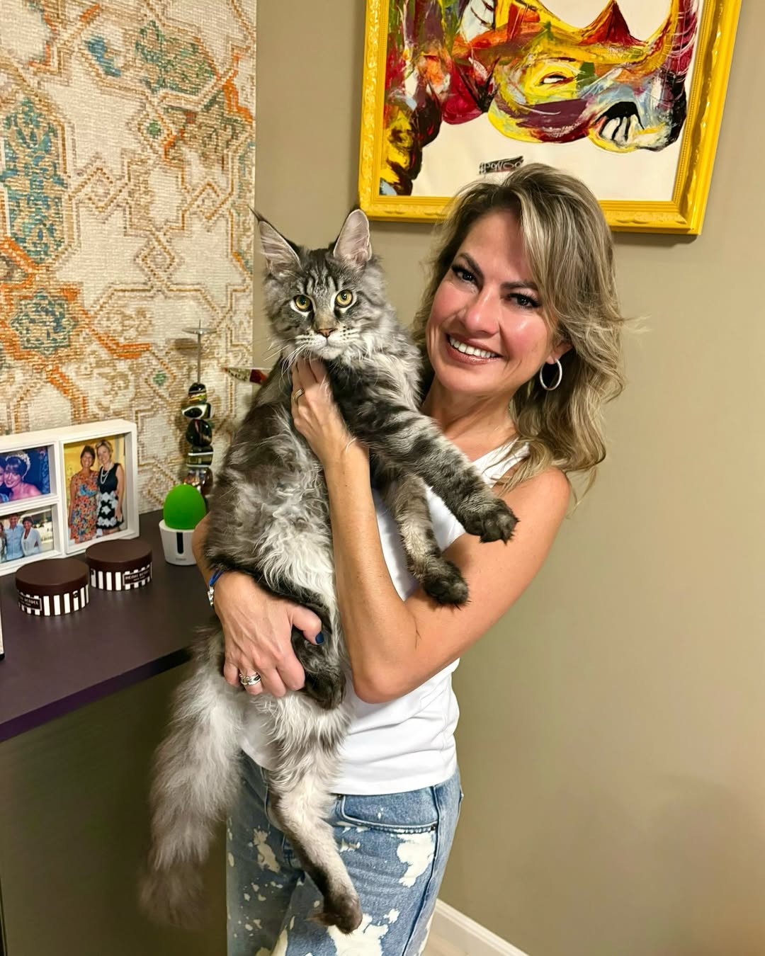 A prova de que Família é do tamanho do nosso ♥️😻! Welcome Timothy! #mainecoonkitten #mainecoono